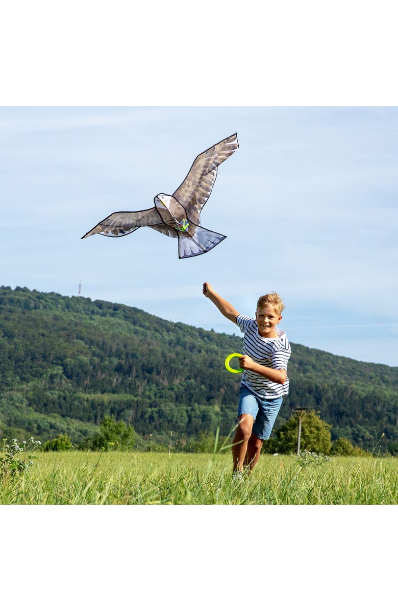 HABA Terra Kids Bald Eagle Kite with Storage Bag, Alternate, color, 