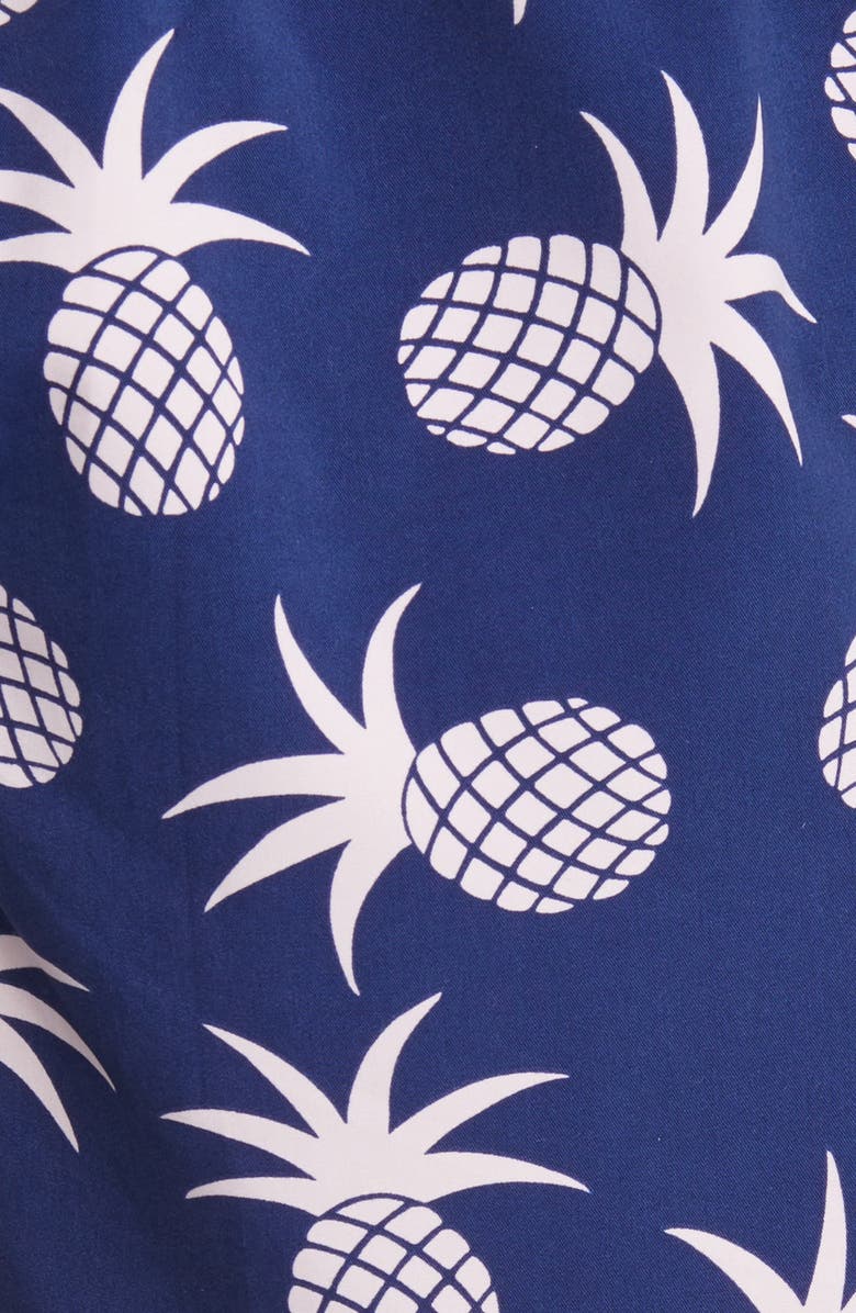 Tom & Teddy Pineapple Print Swim Trunks, Alternate, color, 