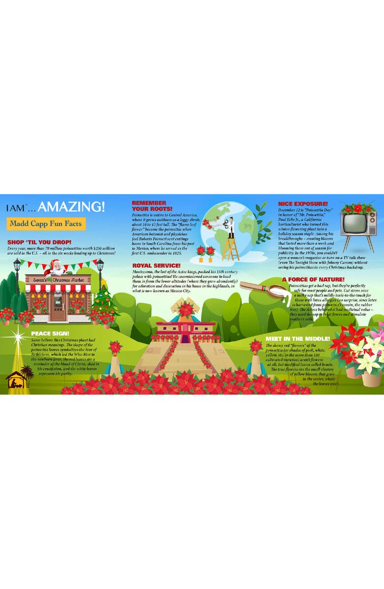 Madd Capp Poinsettia 350 Piece Jigsaw Puzzle, Alternate, color, Multicolored