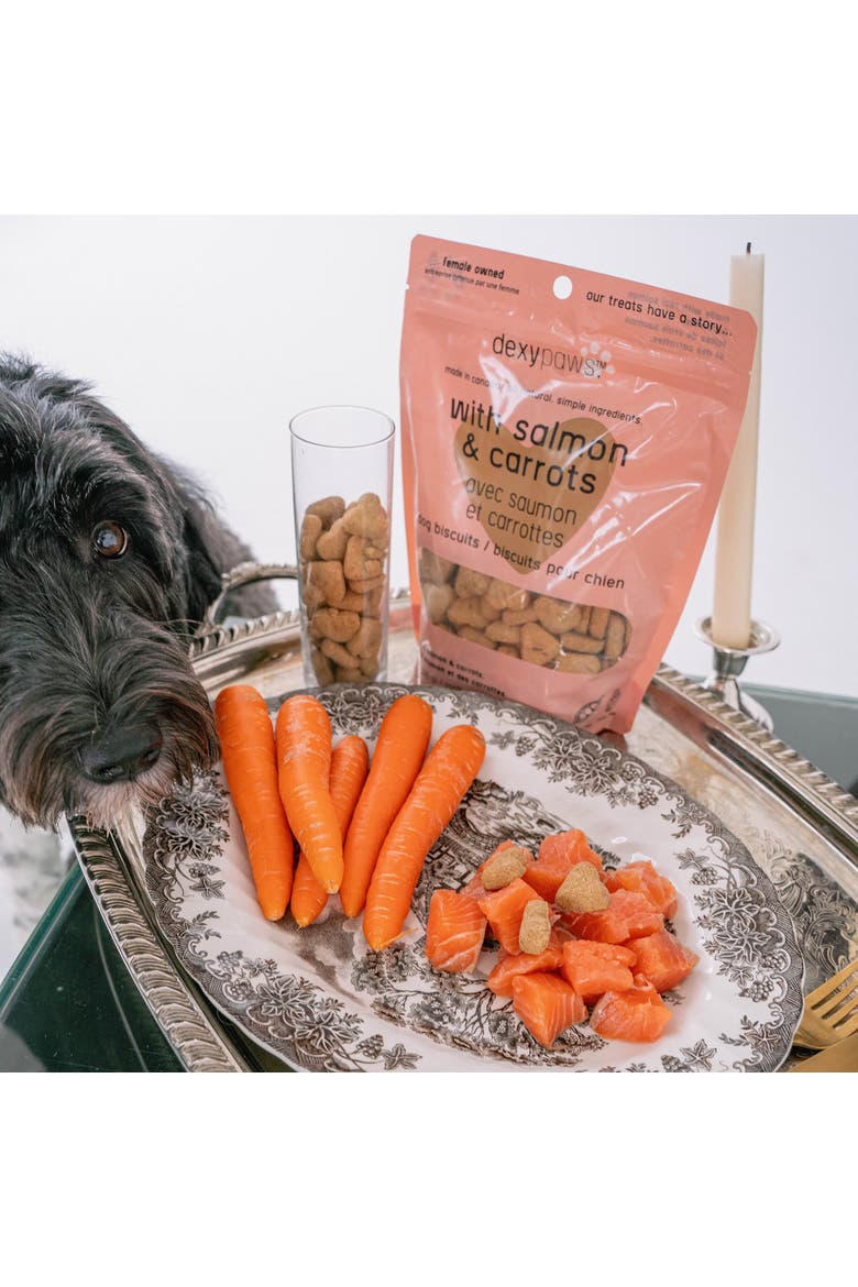 Salmon & Carrot Dog Biscuits 12oz All Natural Pet Treats, Alternate, color, Brown
