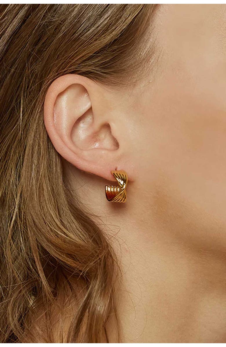 Bearfruit Jewelry 14k Gold Plated Maeve Huggies Dainty Hoop Earrings Trendy, Alternate, color, Gold