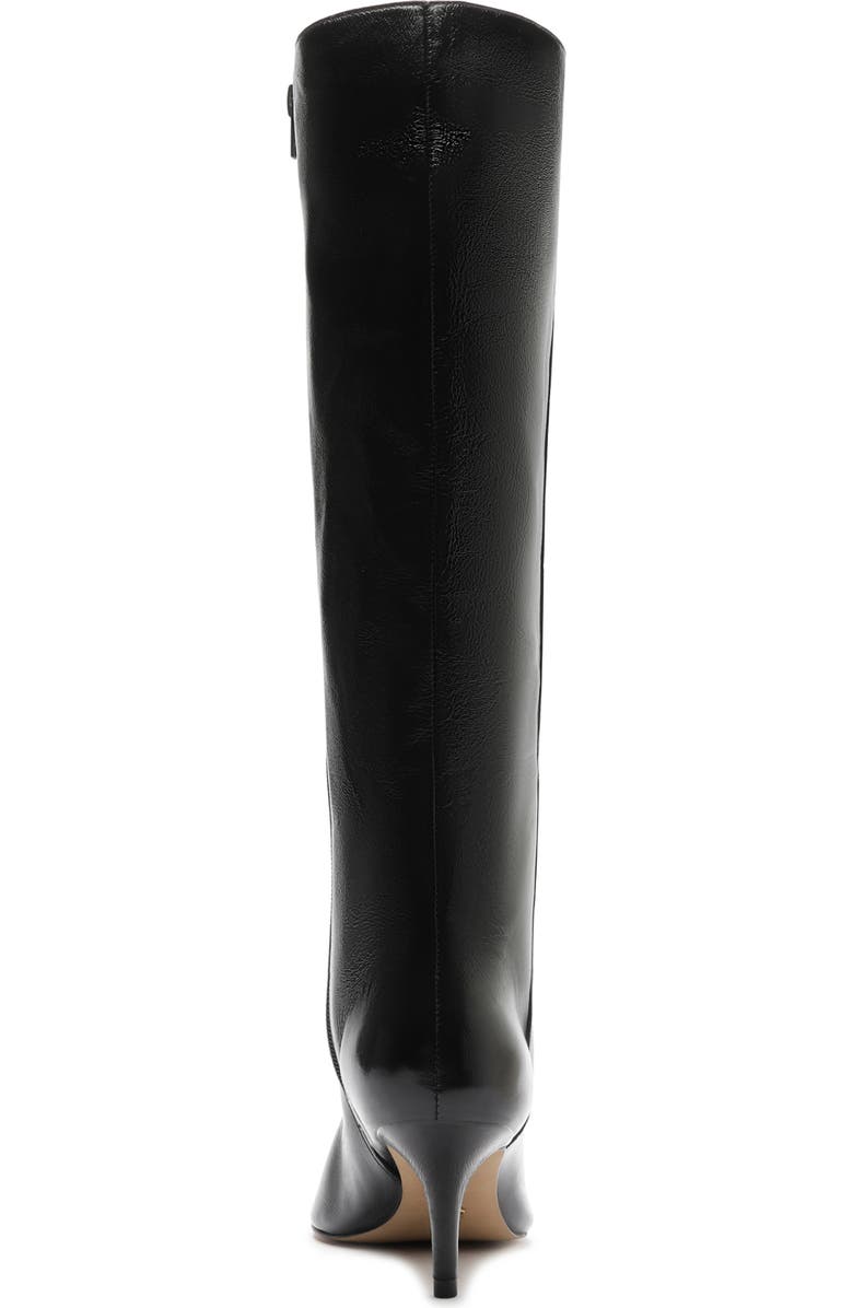 Arezzo Sasha Pointed Toe Knee High Boot, Alternate, color, Black