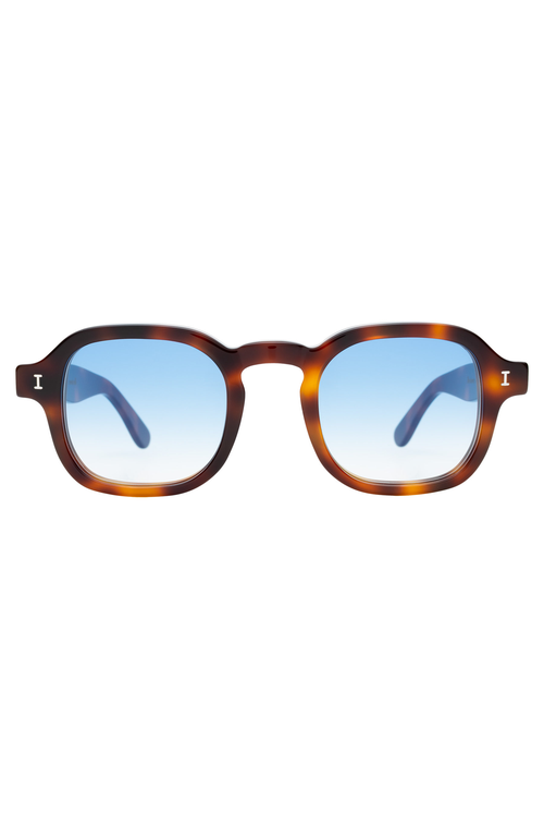 Illesteva Washington Sunglasses In Brown