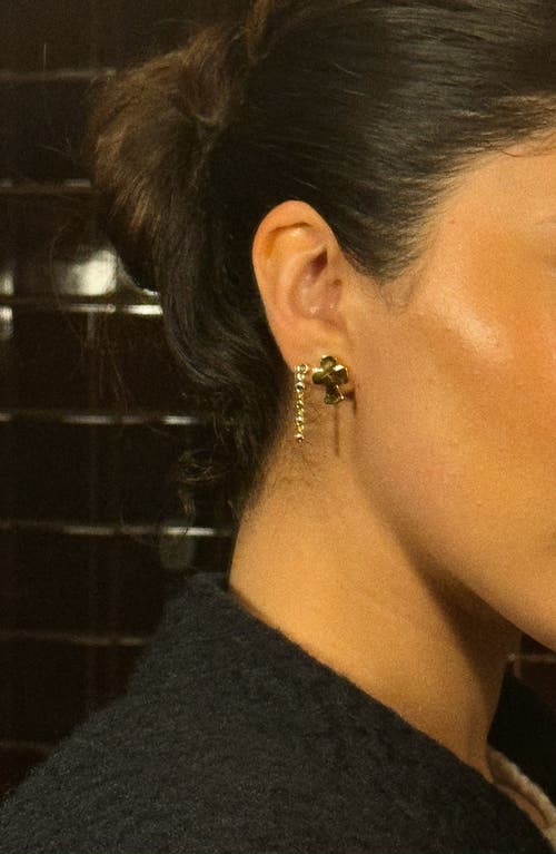 Joiana Jewelry Haven Earrings In Gold