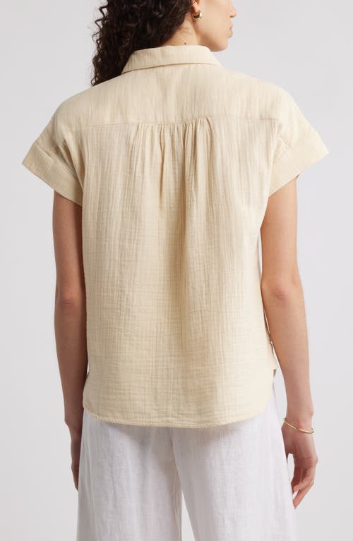 CASLONR CASLON(R) COTTON GAUZE BUTTON-UP SHIRT 