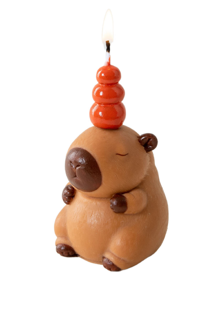 Southlake gifts Capybara Scented Aromatherapy Candle, Main, color, NO COLOR