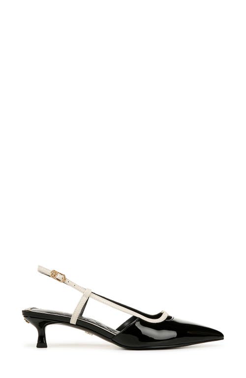 Sam Edelman Toni Slingback Pointed Toe Kitten Heel Pump