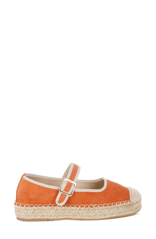 Rag & Co Bolean Espadrille Mary Jane Flat In Brown