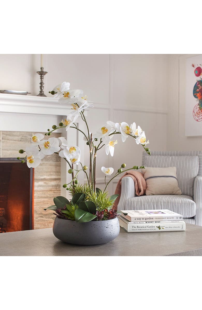 CG Hunter Artificial Orchid with Succulents, Alternate, color, White, Green, Grey