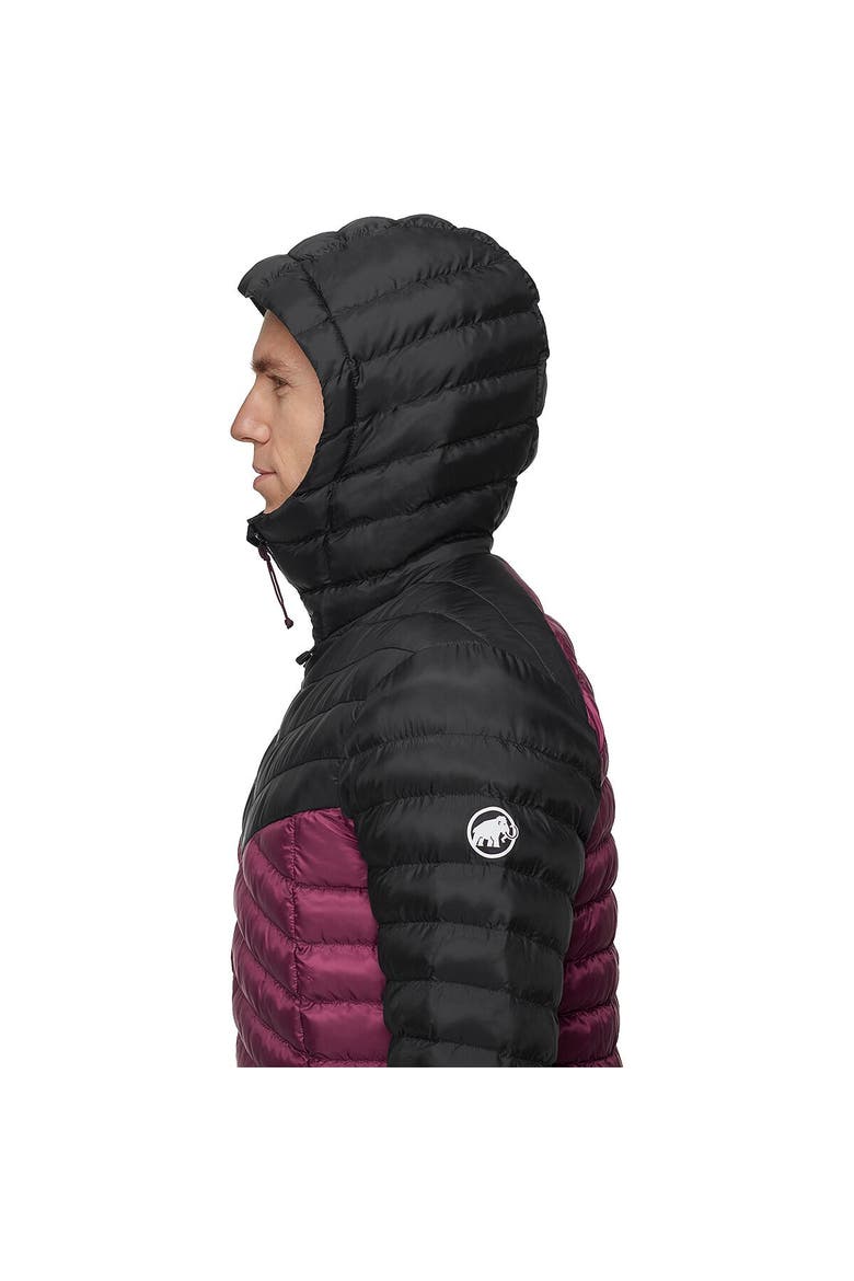 Albula In Hooded Jacket - Men's, Alternate, color, Vin/Black