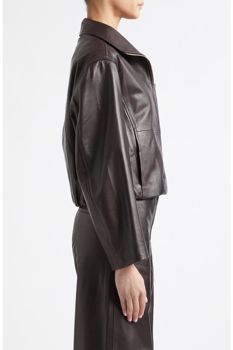 Etienne Everyday Leather Jacket, Alternate, color, DARK BROWN