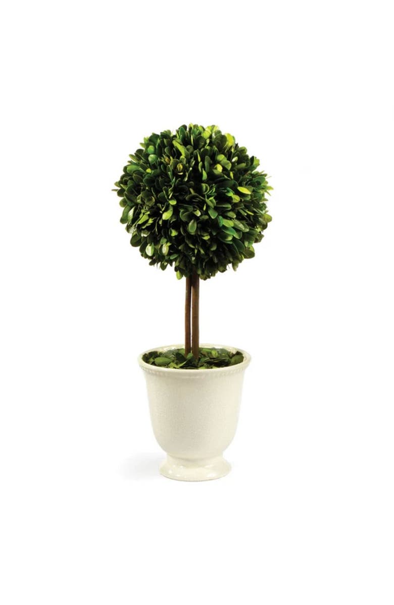 Napa Home & Garden Boxwood Topiary In Beaded White Pot, Main, color, Green