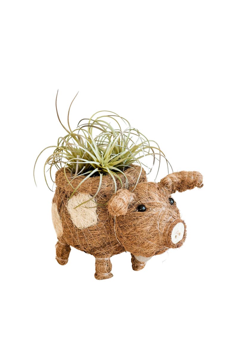 Farm Animal Coco Coir Planters, Main, color, Natural Brown