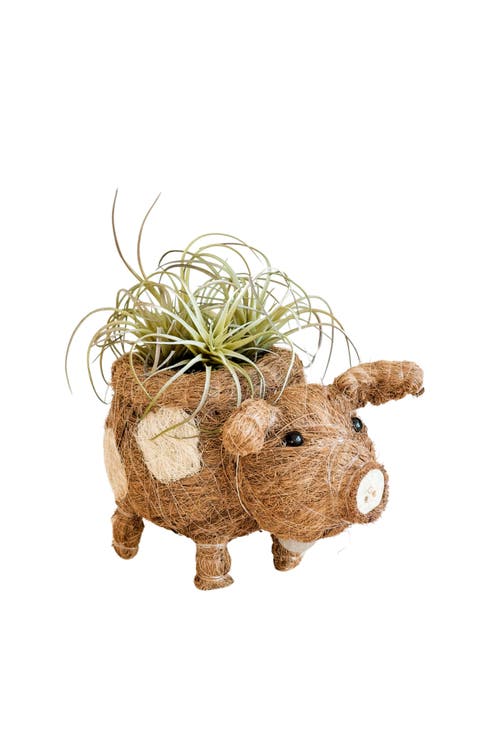 Farm Animal Coco Coir Planters