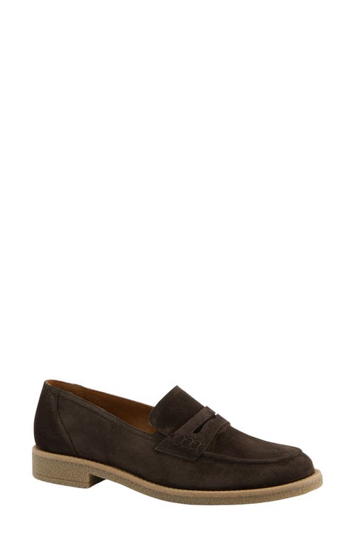 Paul Green Cohen Penny Loafer In Brown