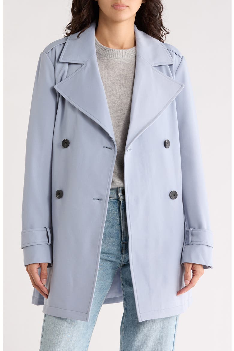 Double Breasted Trench Coat, Alternate, color, ROBIN