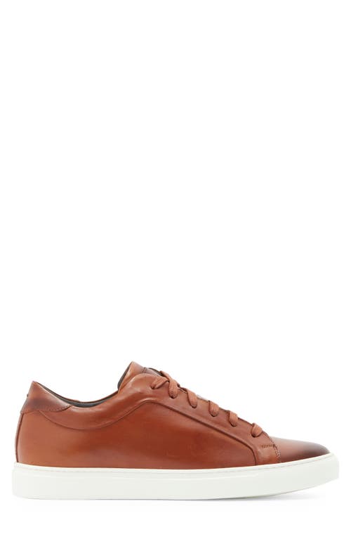 To Boot New York Mesa Low Top Sneaker In Cognac
