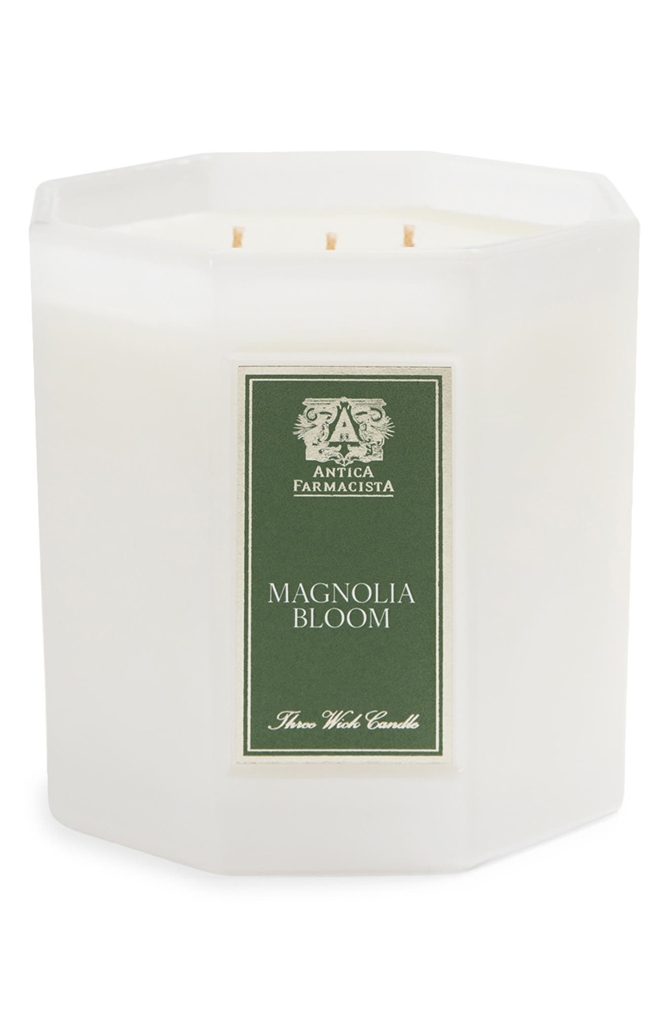 MAGNOLIA BLOOM