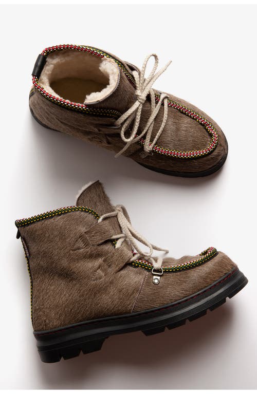 Penelope Chilvers Incredible Genuine Calf Hair Bootie In Brown