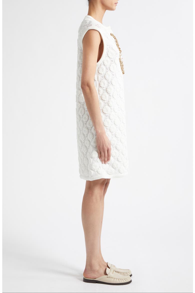 Brittany Crochet Stitch Sleeveless Mini Sweater Dress, Alternate, color, WHITE
