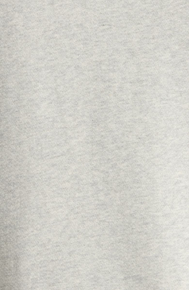 Museum of Peace & Quiet Seventies Logo Cotton Graphic Hoodie, Alternate, color, Ash