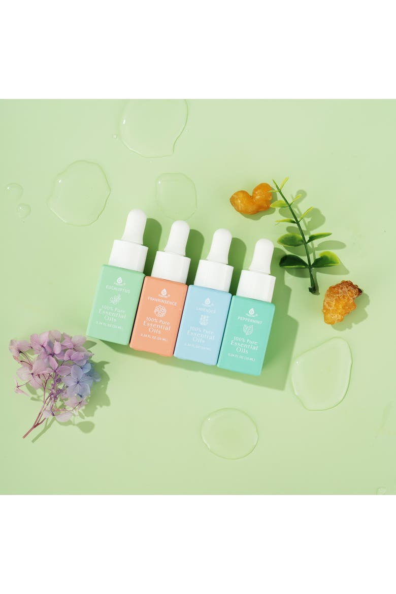 100% Pure Natural Essence Essential Oils 4 Pack, Alternate, color, Multicolor