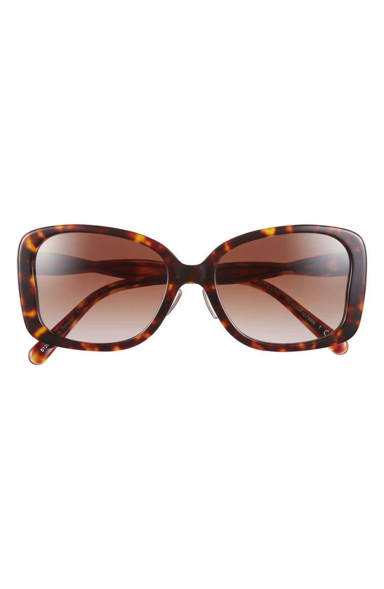 COACH 55mm Butterfly Sunglasses, Main, color, Dark Tortoise