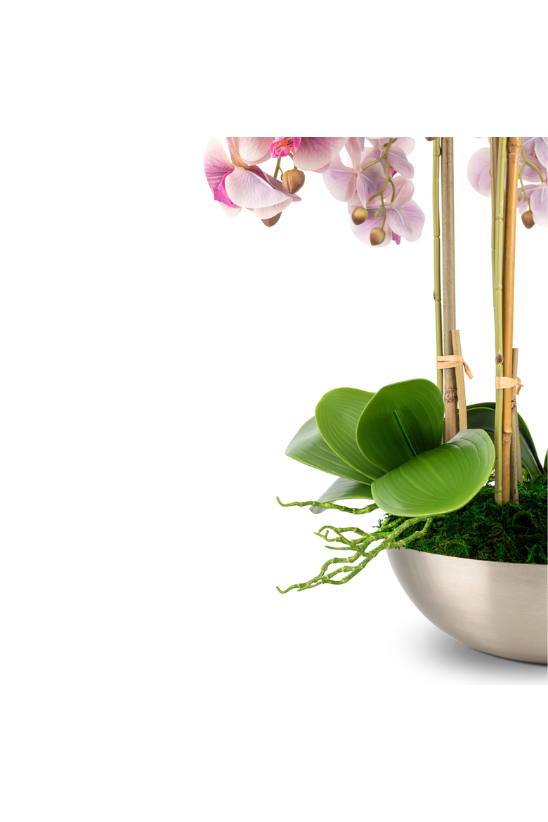 Abrienne RealTouch Orchid Arrangement, Alternate, color, Periwinkle
