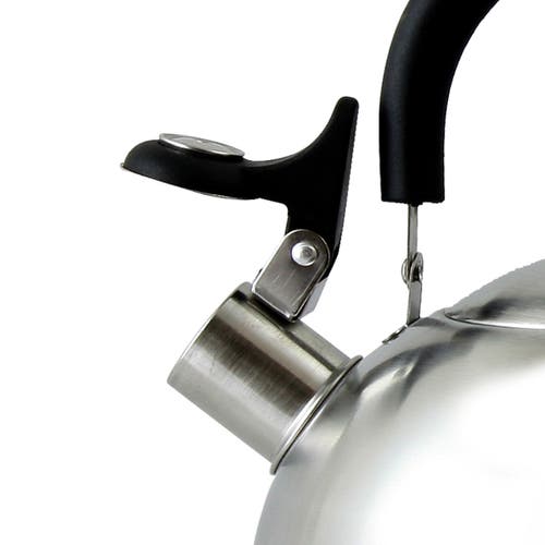 Mr Coffee Carterton 1.5 Qt Stainless Steel Whistling Tea Kettle In Silver