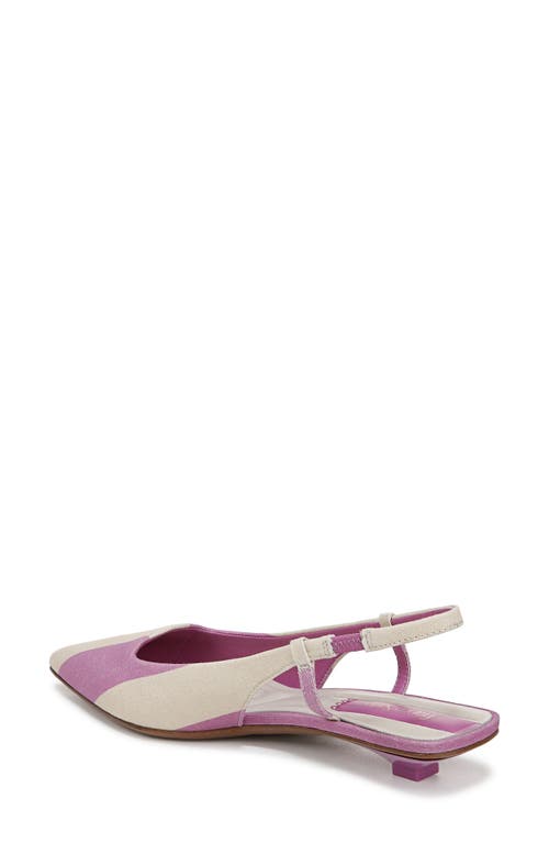 Franco Sarto Palmira Slingback Pointed Toe Pump In Purple
