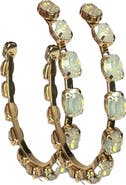 MacRae & Co. Crystal Hoop Earrings
