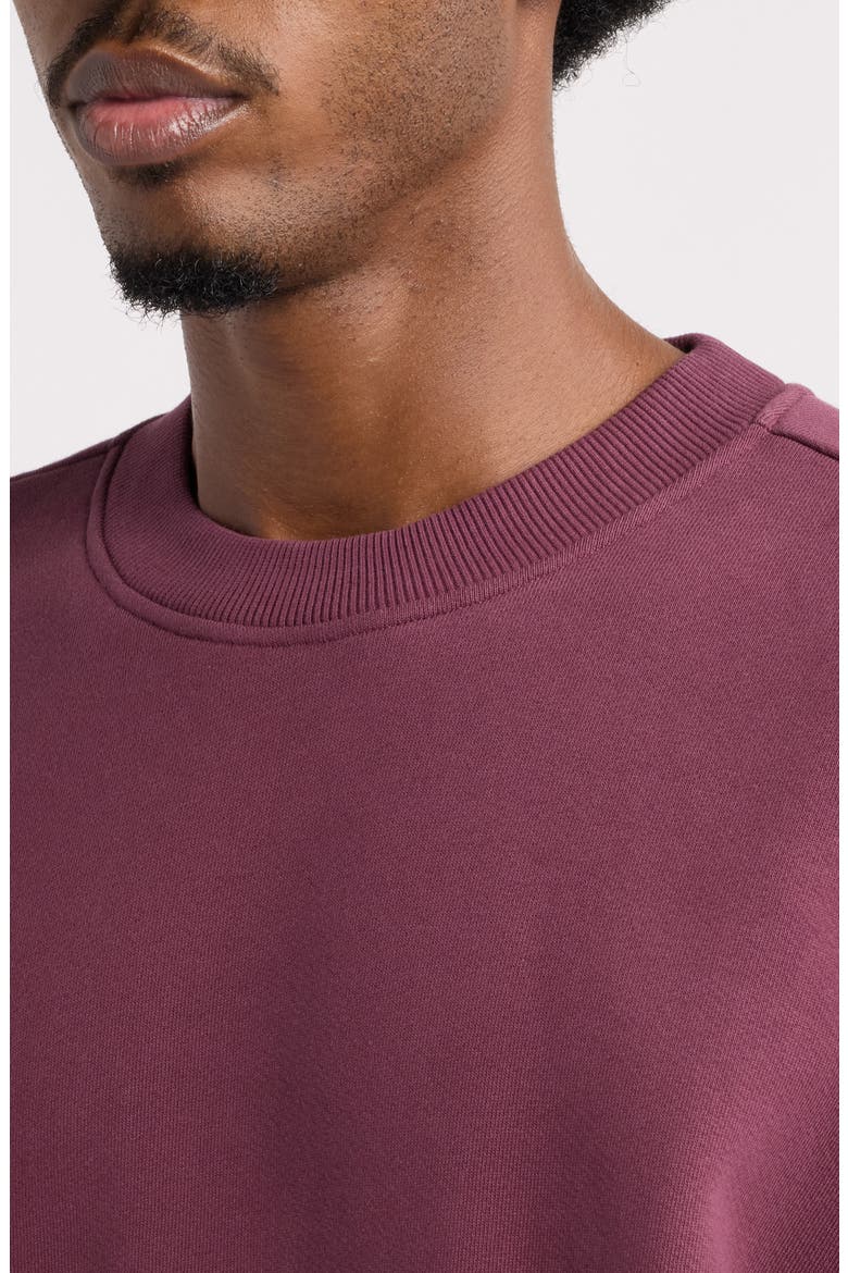 Oversize Core Crewneck Sweatshirt, Alternate, color, MAROON