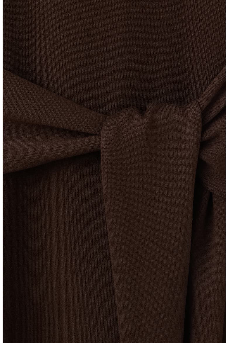 Tie Detail Sleeveless Knit Dress, Alternate, color, BROWN