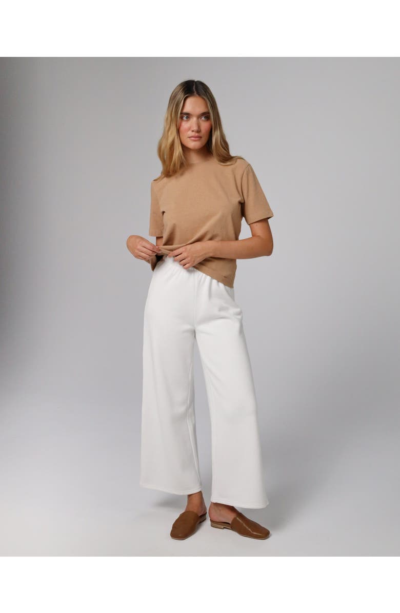 JUANA Hemp Essentials Short Sleeve Tee, Alternate, color, Fawn