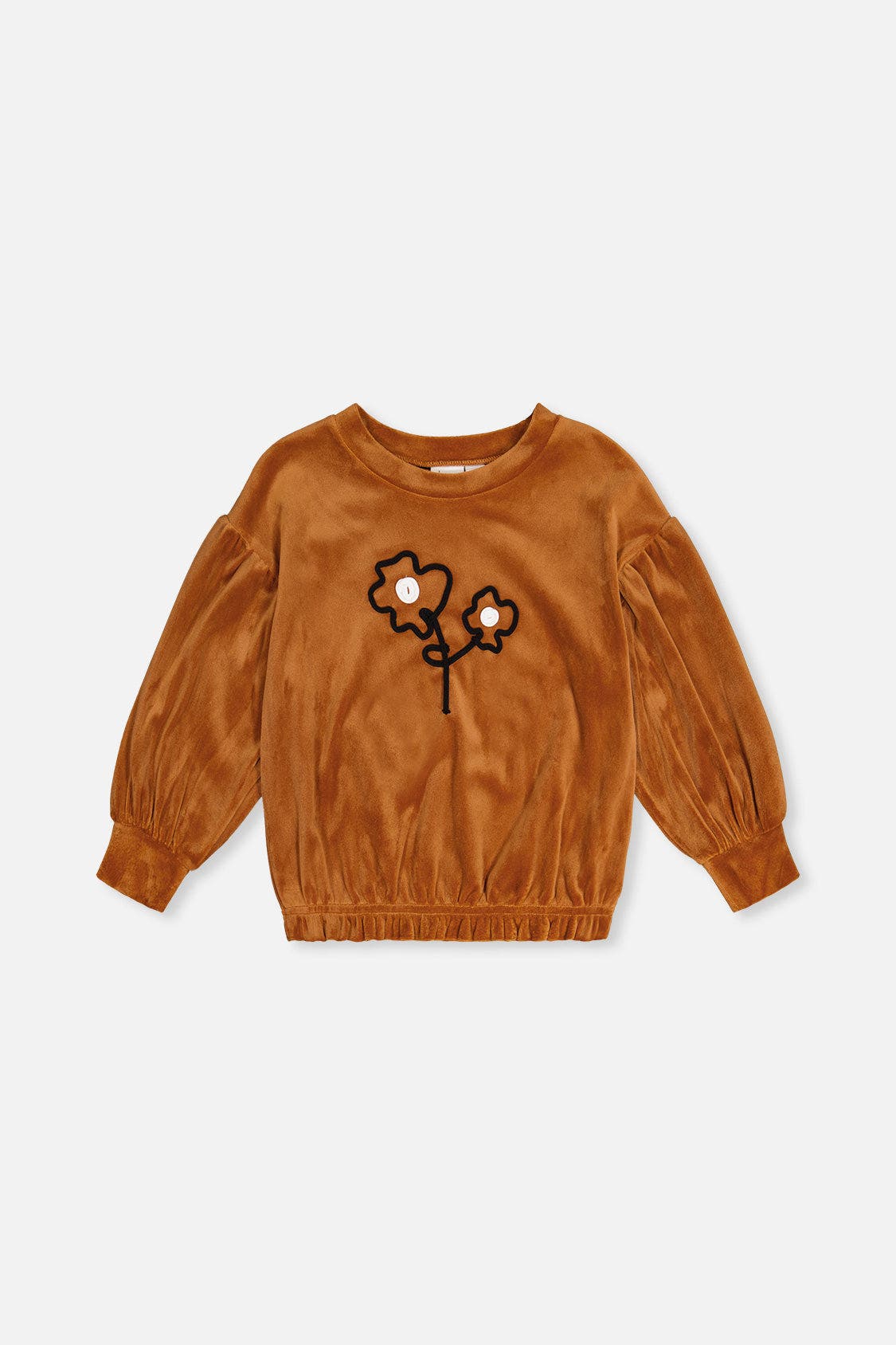 selected Brown