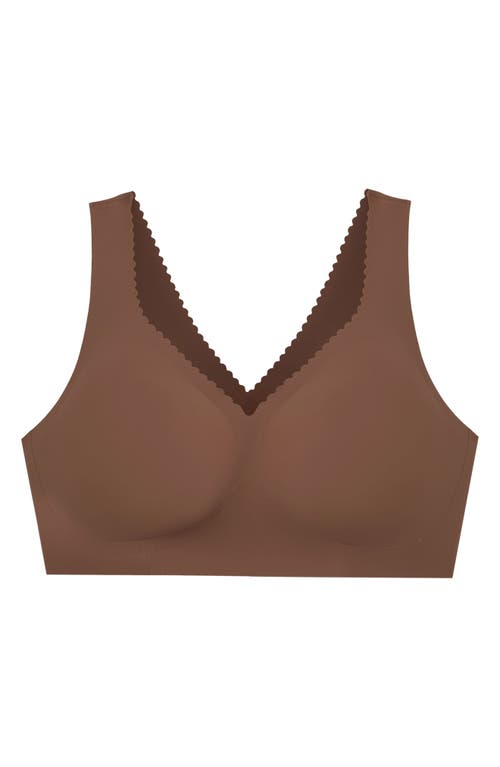 Evelyn & Bobbie The Evelyn Bra In Brown