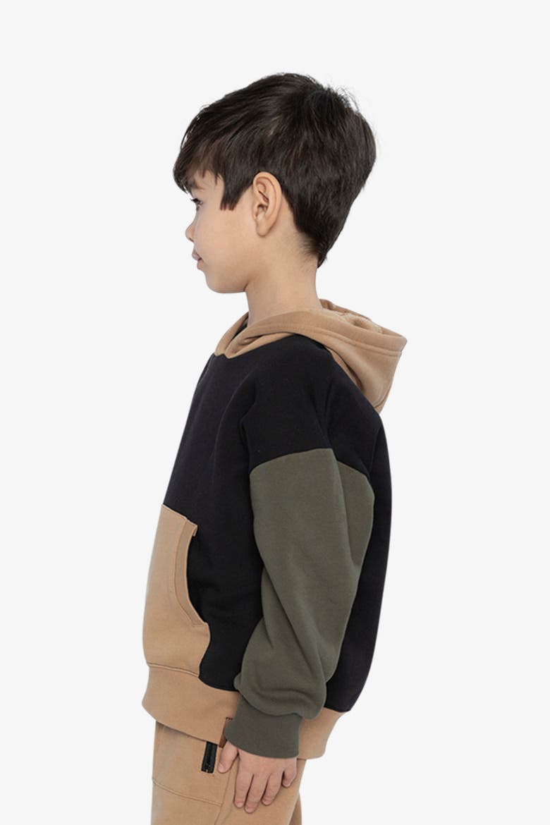 Hooded Colorblock Kangaroo Pocket Fleece Cardigan, Alternate, color, Black, Green and Beige