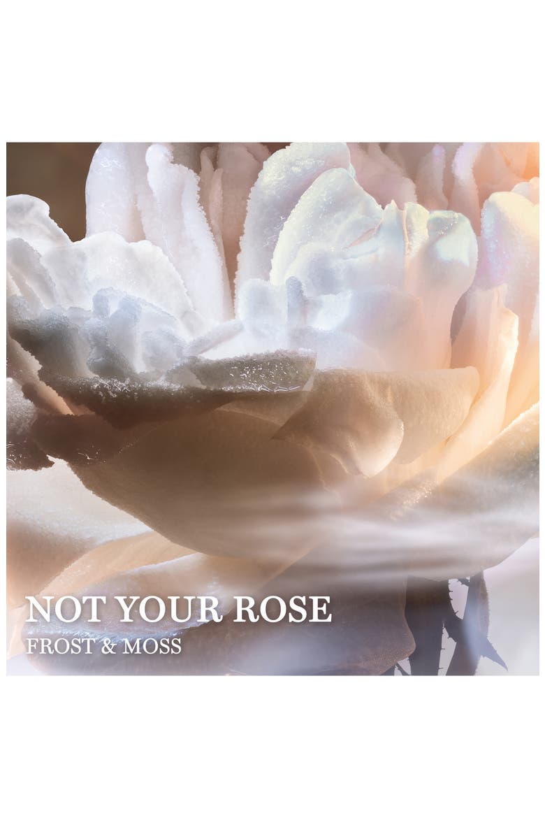 Absolue Not Your Rose Eau de Parfum, Alternate, color, NO COLOR