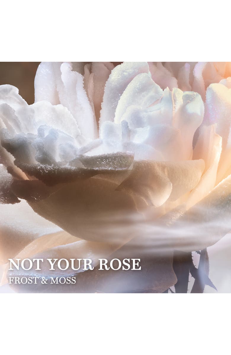 Lancôme Absolue Not Your Rose Eau de Parfum, Alternate, color,