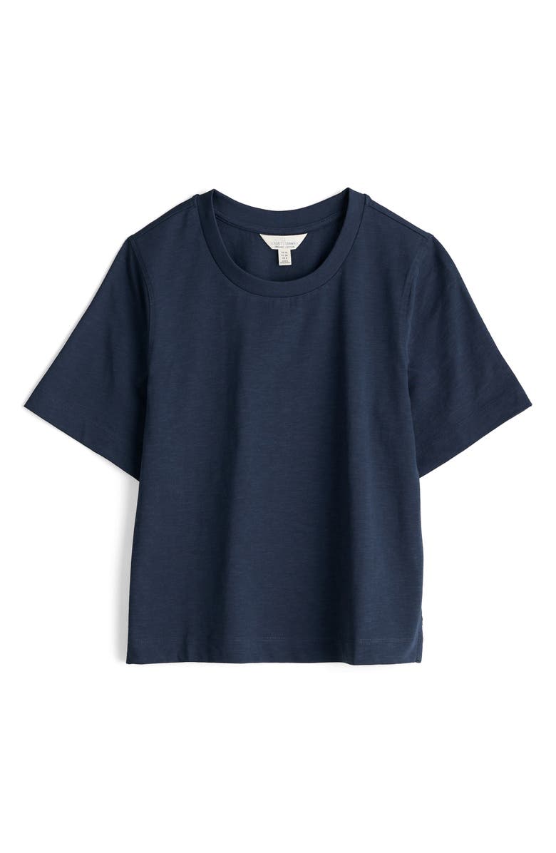 Seasalt Cornwall Copseland Organic Cotton T-Shirt, Alternate, color,