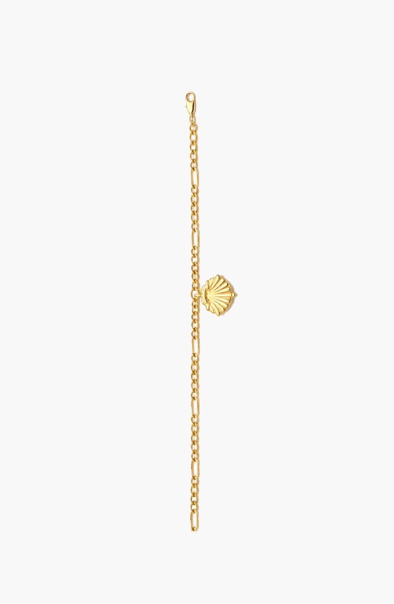 YOJ Conchigla Figaro Bracelet In Gold, Alternate, color, Gold