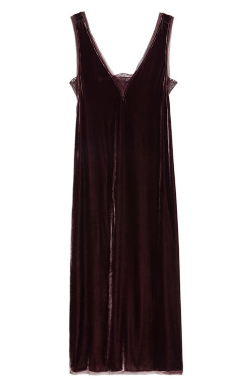 Zadig & Voltaire Lace-insert Midi Dress In Burgundy