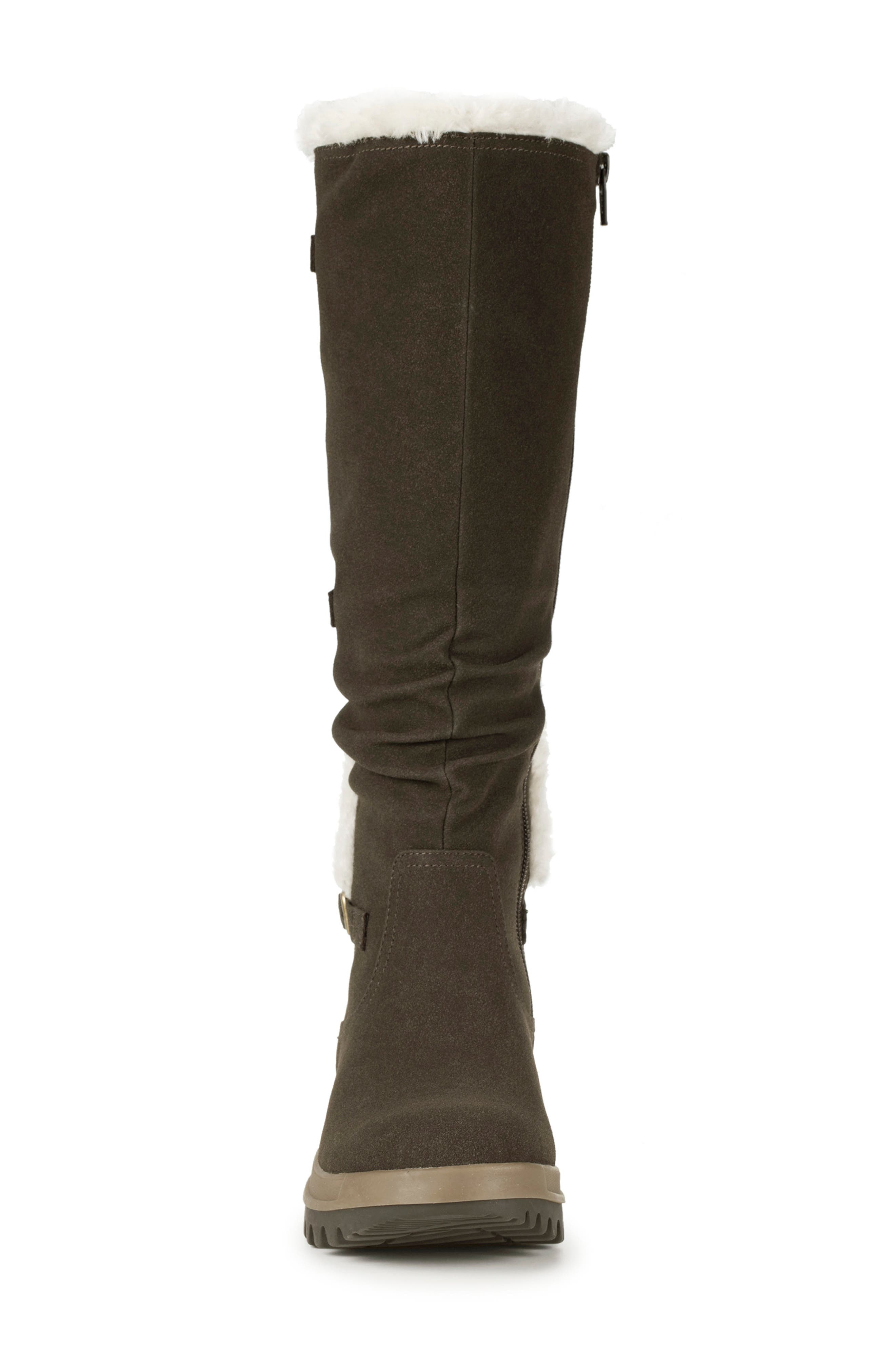 BARETRAPS Navia Faux Fur Lined Tall Boot, Alternate, color, Dark Brown