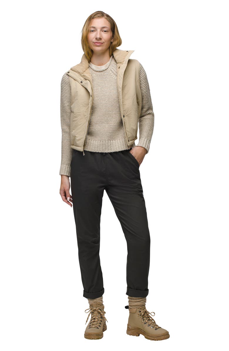 prAna Palisades Organic Cotton Blend Ripstop Pants, Alternate, color, Dark Iron