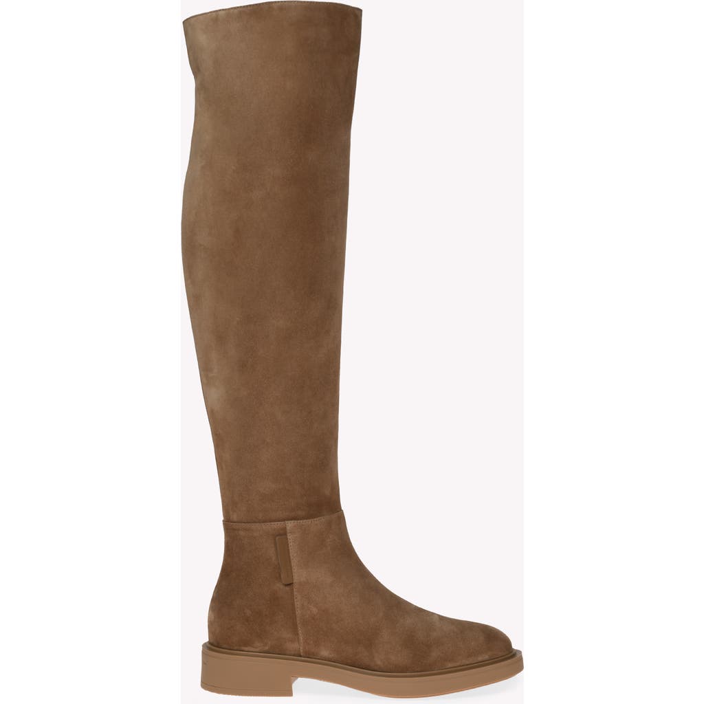 Gianvito Rossi Suede Over-the-knee Boots In Brown