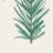 selected Balsam & Cedar