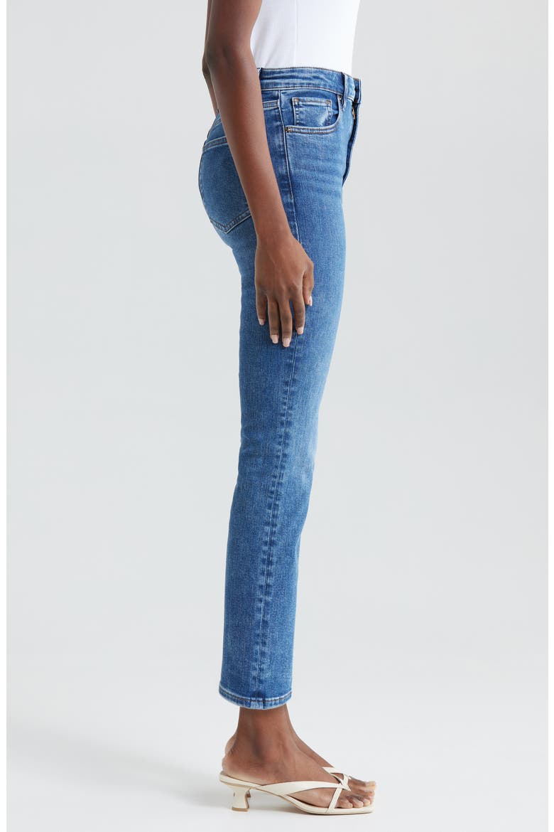 The Pencil Crop High Waist Ankle Slim Straight Leg Jeans, Alternate, color, CANALS