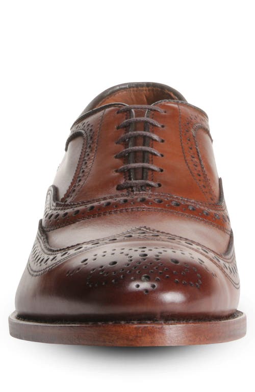 Allen Edmonds Mcallister Wingtip In Multi