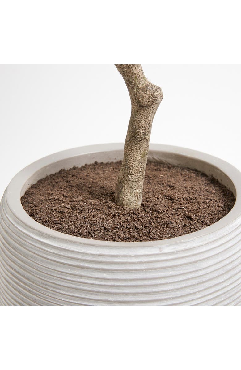 CG Hunter Artificial Olive Topiary Tree with Mediterranean Pot, Alternate, color, Green