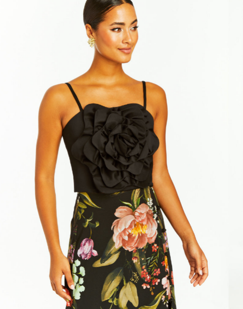 Women’s Mestiza New York Clothing | Nordstrom